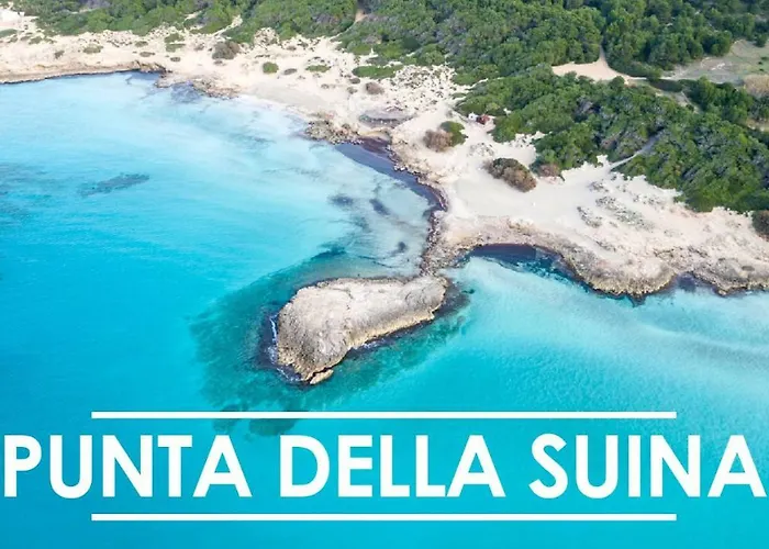 بيت للعطل Monolocale Garden *